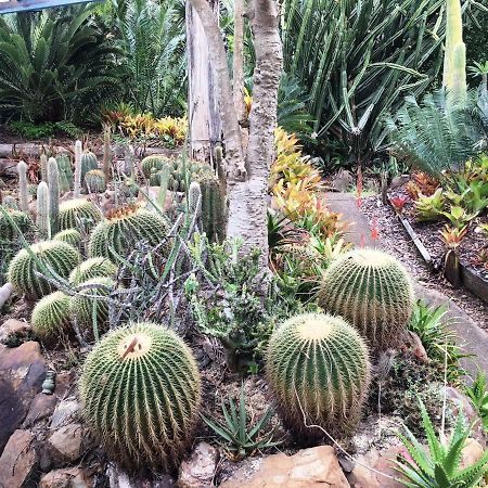 Ancient Gardens Guesthouse & Botanical Gardens Eudlo Exterior photo