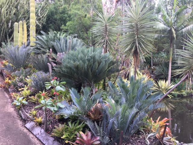 Ancient Gardens Guesthouse & Botanical Gardens Eudlo Exterior photo