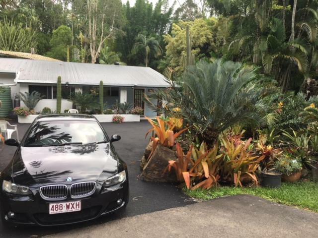 Ancient Gardens Guesthouse & Botanical Gardens Eudlo Exterior photo